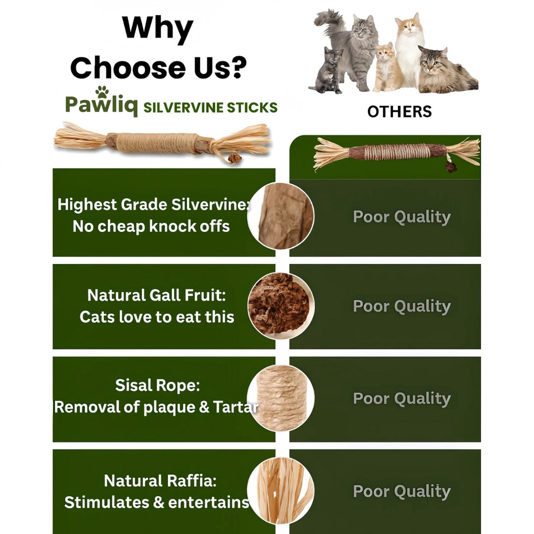 Pawliq Natural Silvervine Dental Sticks