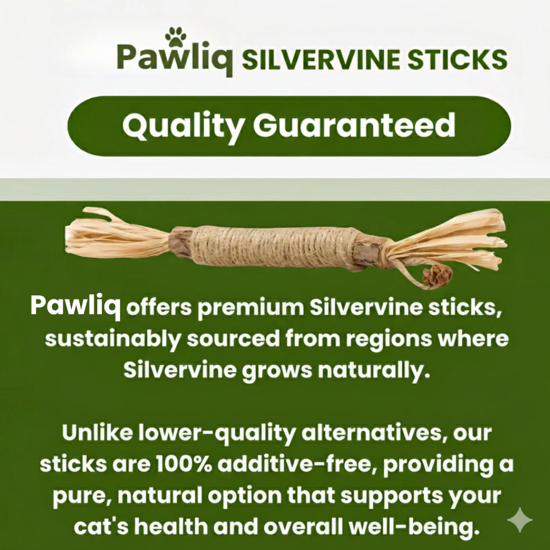 Pawliq Natural Silvervine Dental Sticks