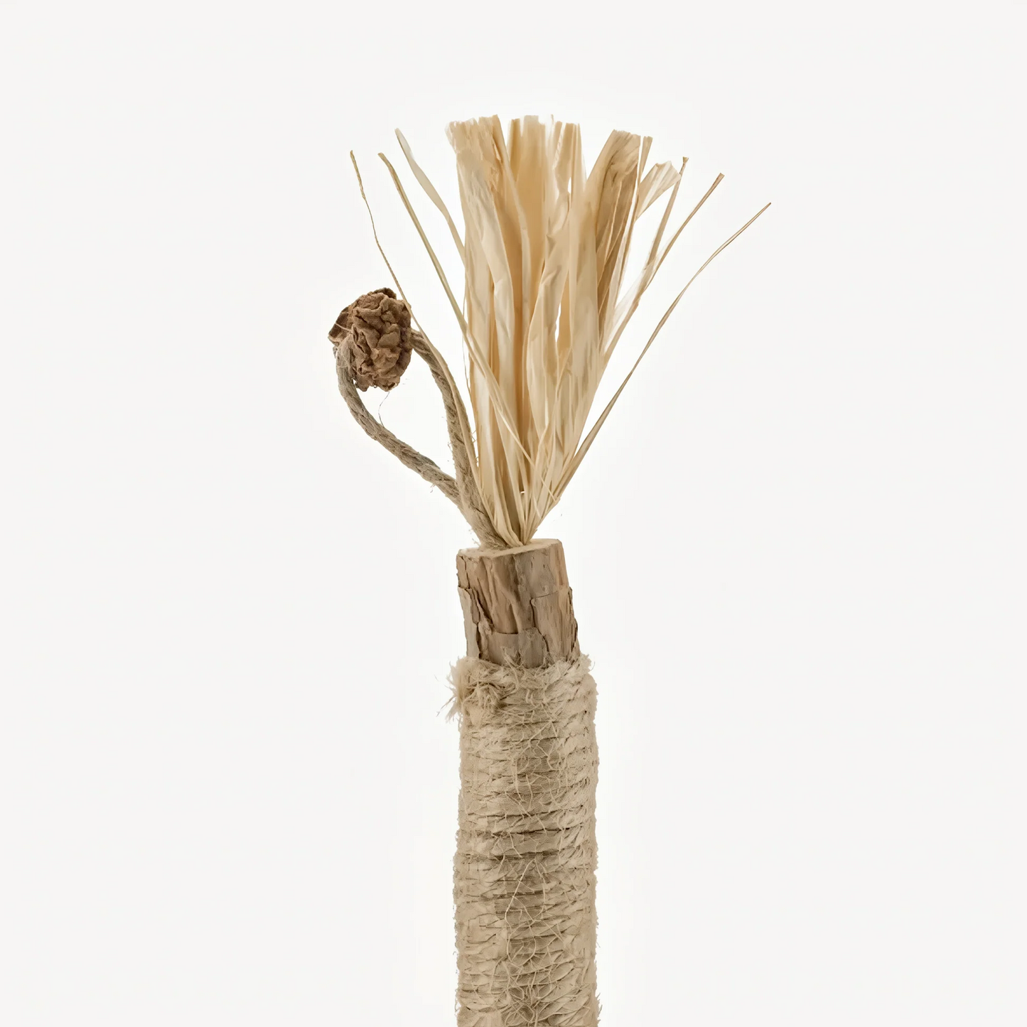 Pawliq Natural Silvervine Dental Sticks