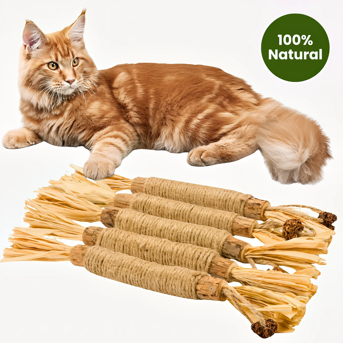 Pawliq Natural Silvervine Dental Sticks